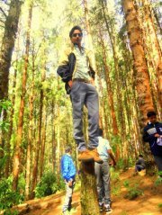 Suhail Basheer