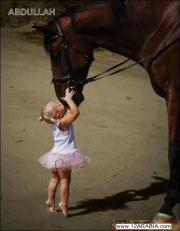 هبه أبو حسين