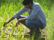 Udayreddy Pagadala