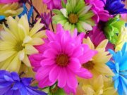 Mohammed Shams aldin tk