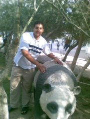 Ahmed Stohy