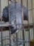 Sherif ...