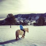 Michelle Duregger-king