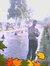 Vijay P...