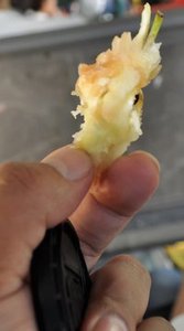 Khupsamlian Khaute