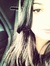 Tanya Raad