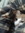 Ann Anderson | 2 comments