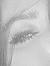 Nicole ...