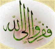 واحة التائبين