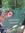 Craig (csilvers) | 6 comments