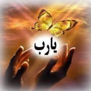 Lobna Nasr