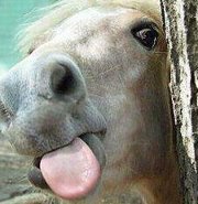 Catherine Sonnenberg