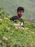Siva Kumar
