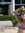 Lacie R...