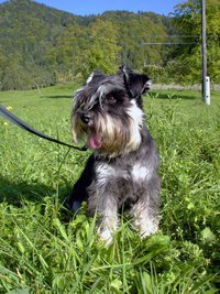 Nejc Krumpačnik