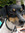 Steven | 1 comments