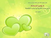 محمود عبدالوهاب