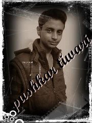 Pushkar Tiwari