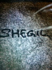 Shegil A