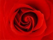 Pamela Farrell vatter