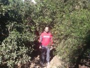 Ayman Ali elddeen