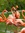 Ree | 8 comments