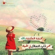 عبدالكريم الزيات