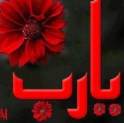 الساجده لله