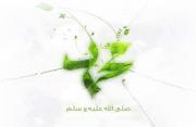 Ahmed Fathi