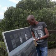 Tsholo Ramadikela
