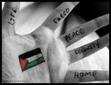 Alaa