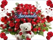 Amin Mostafa