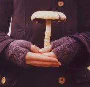 مہذكےرات مےتمےردة