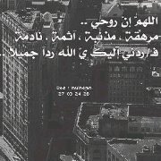 محمد المالكي