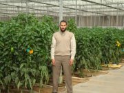 ابراهيم حسن