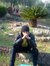 Ahmad A...