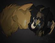 Firestar Thunderclan