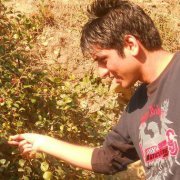 Ashish Madhwal