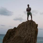 شريف الحسينى