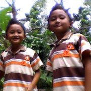 Fane Fi