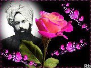 على الاحمدى