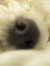 Jmawrey