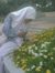 Mutiara S