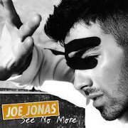 Mahmoud Abdel-haleem