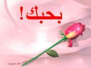 Mido Ahmed