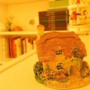 Şükran Erden biçer