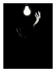 تامر الشاعر