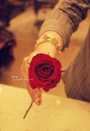 عنقود الحياه