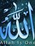Ahmed Y...