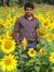 Phani K...